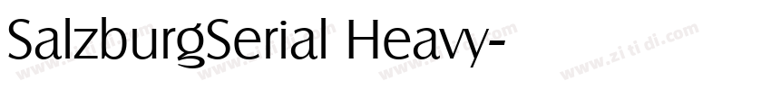 SalzburgSerial Heavy字体转换